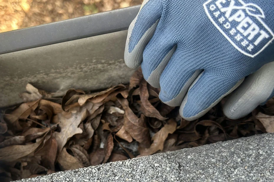 Gutter Cleaning Abingdon